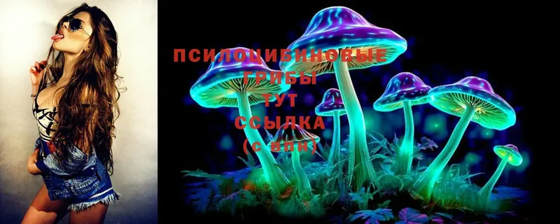 хочу   Голицыно  darknet наркотические препараты  Псилоцибиновые грибы мицелий 